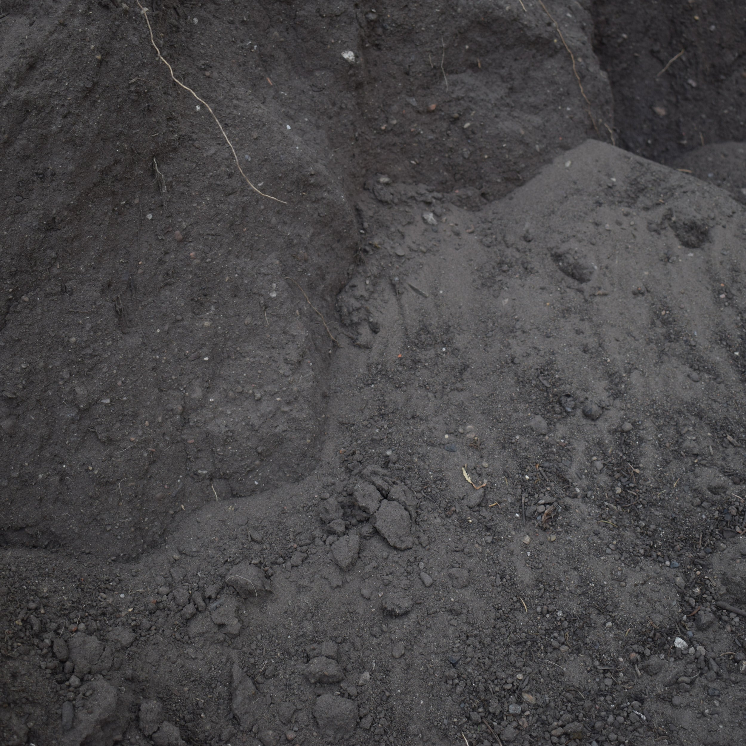 Mutterboden aus Norddeutschland, gesiebt