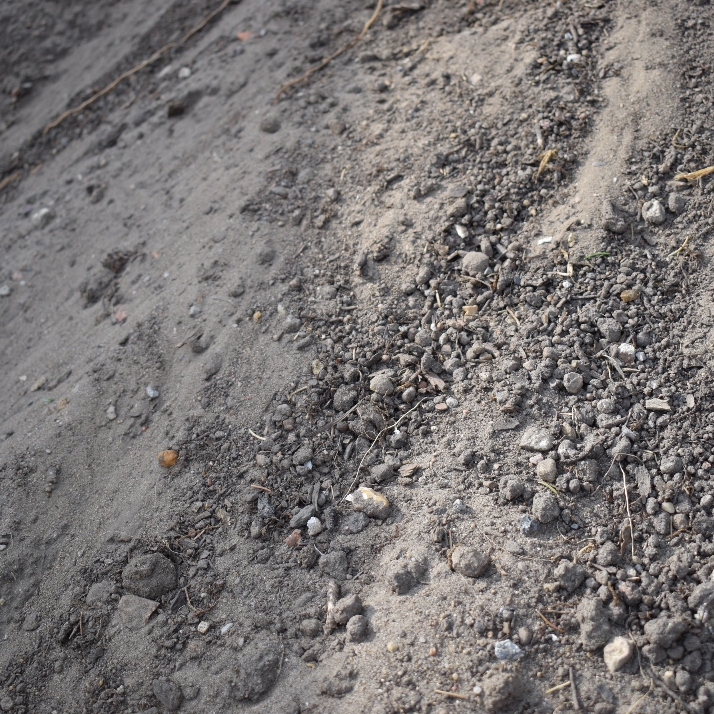 Mutterboden aus Norddeutschland, gesiebt