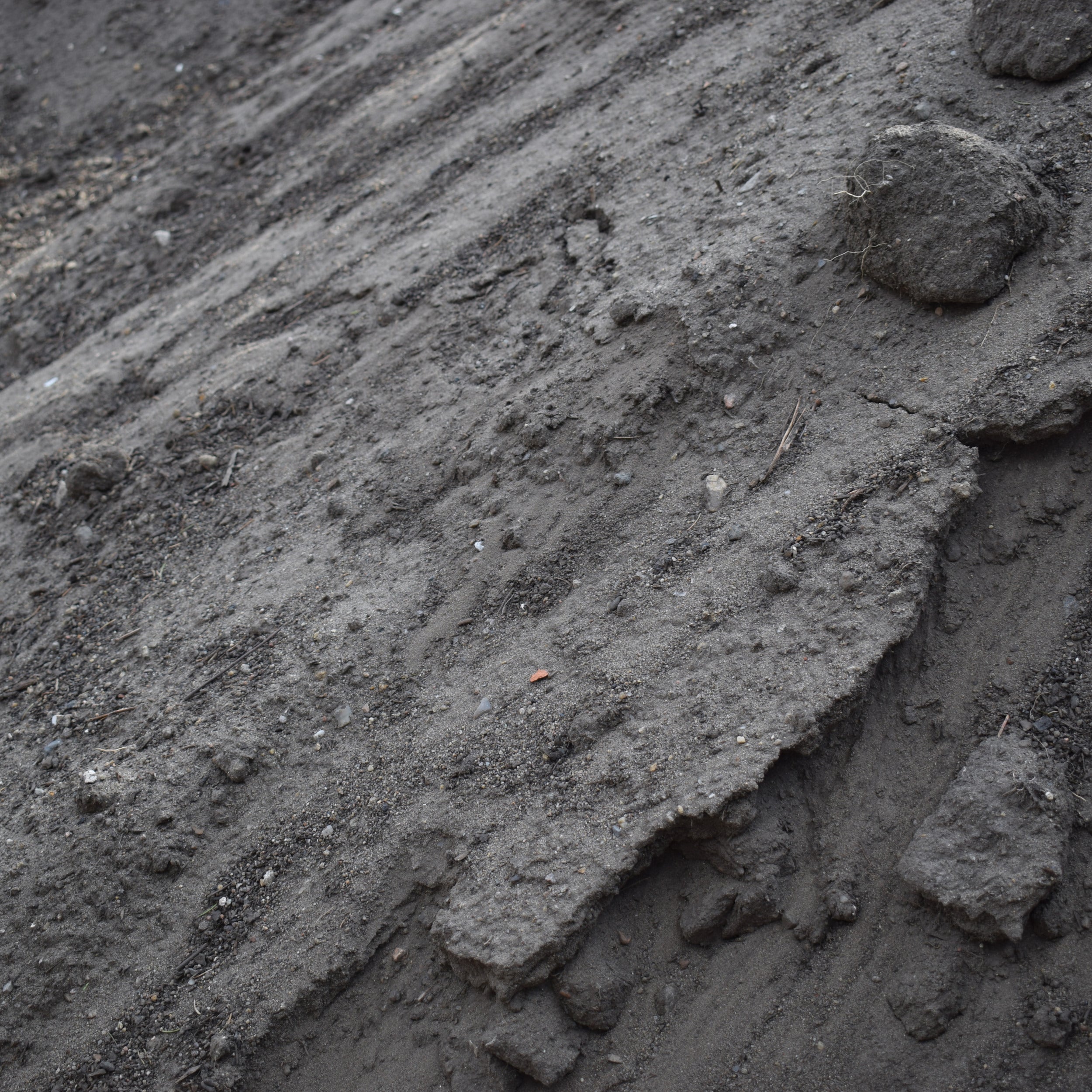 Mutterboden aus Norddeutschland, gesiebt